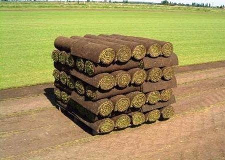Descubre la calidad de tierras, sustratos y complementos de jardinería de Bioland en Lleida