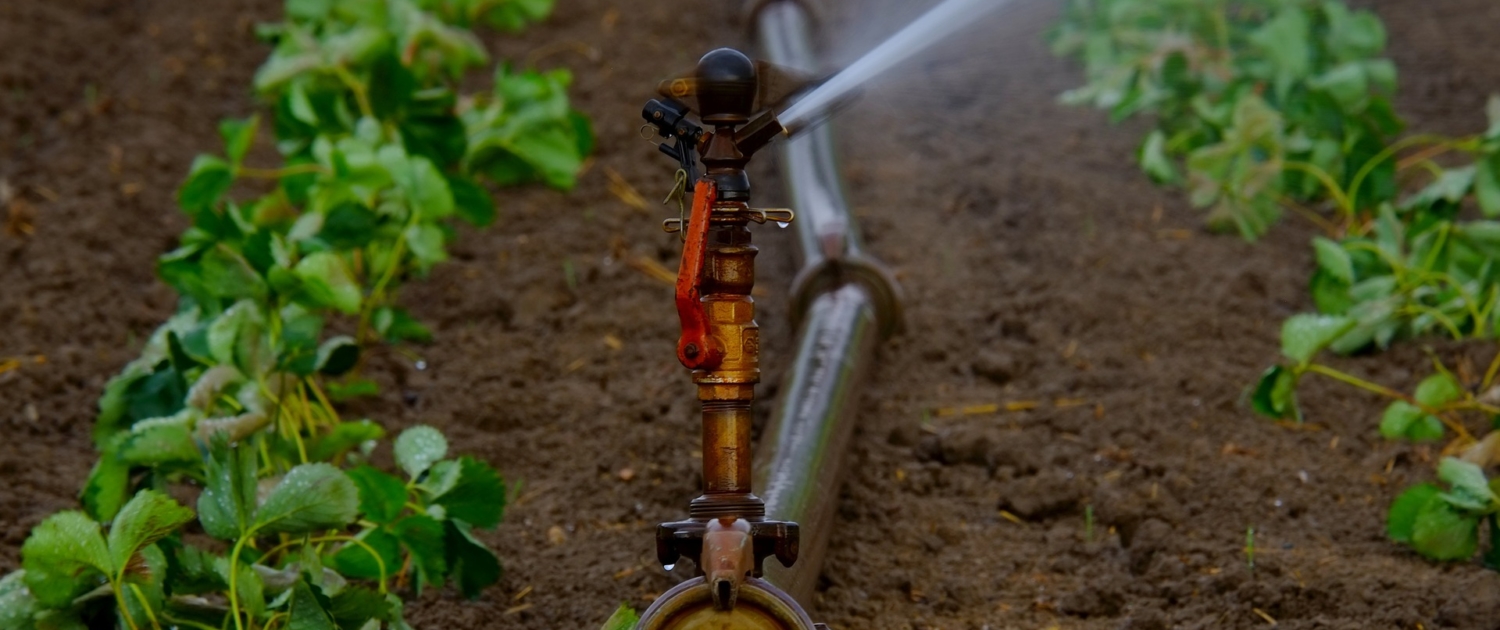 Venta de productos de jardinería en Lleida